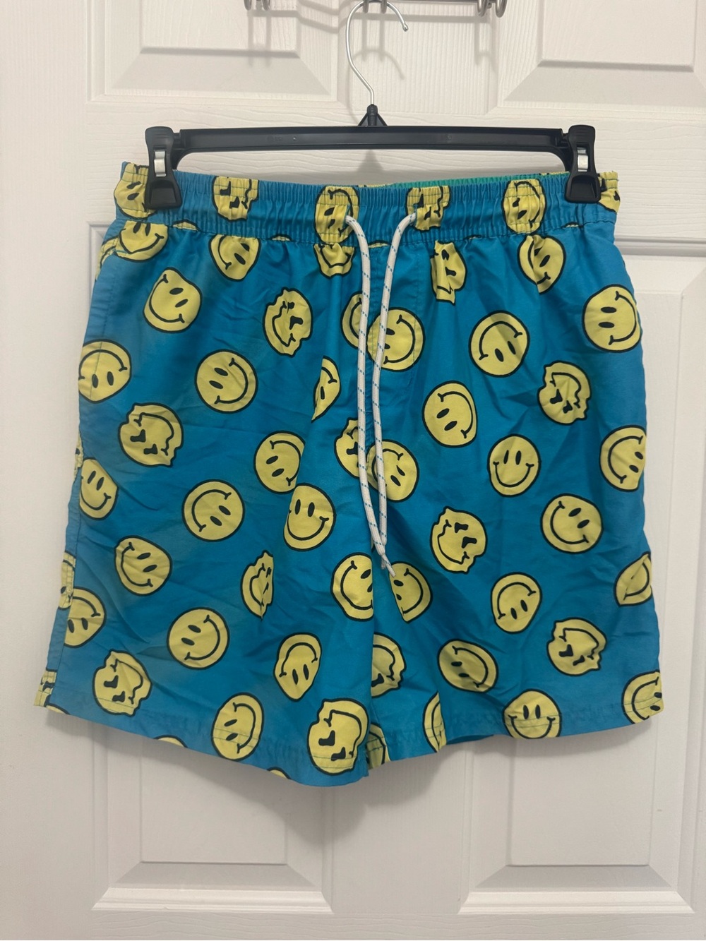 No Boundaries Teal and Aqua Swim Shorts